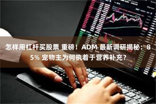 怎样用杠杆买股票 重磅！ADM 最新调研揭秘：85% 宠物主为何执着于营养补充？