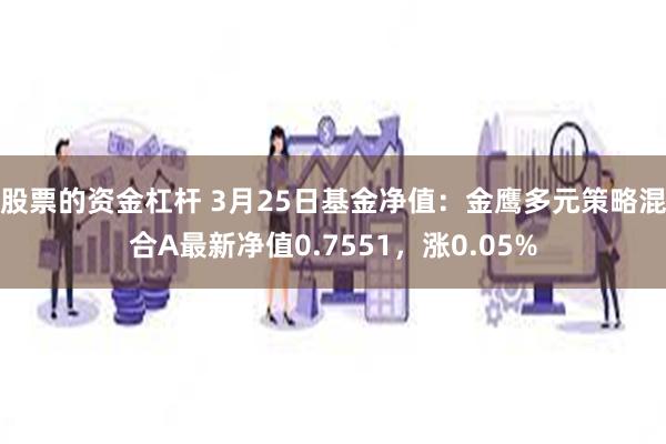股票的资金杠杆 3月25日基金净值：金鹰多元策略混合A最新净值0.7551，涨0.05%