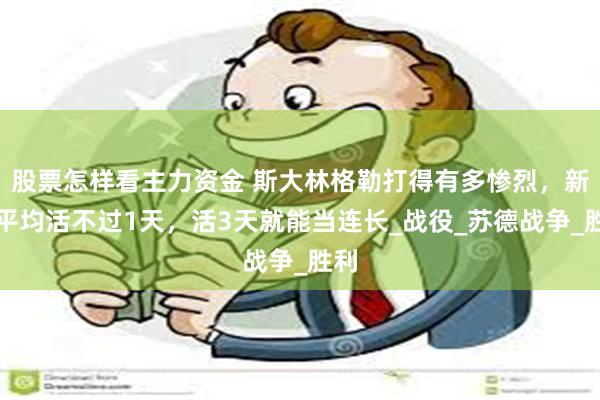 股票怎样看主力资金 斯大林格勒打得有多惨烈，新兵平均活不过1天，活3天就能当连长_战役_苏德战争_胜利