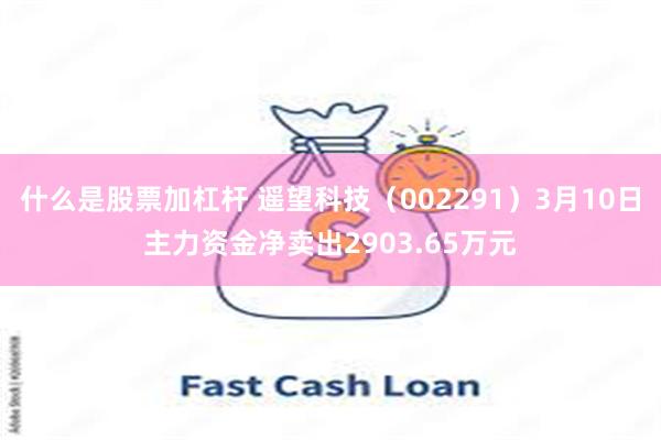 什么是股票加杠杆 遥望科技（002291）3月10日主力资金净卖出2903.65万元