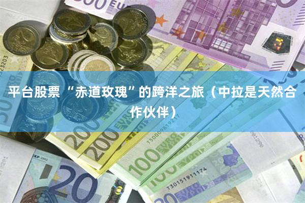 平台股票 “赤道玫瑰”的跨洋之旅（中拉是天然合作伙伴）