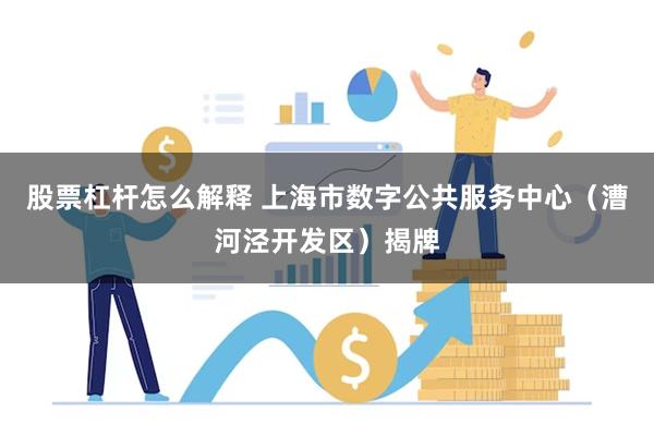 股票杠杆怎么解释 上海市数字公共服务中心（漕河泾开发区）揭牌