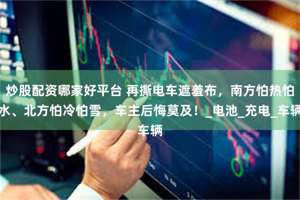 炒股配资哪家好平台 再撕电车遮羞布，南方怕热怕水、北方怕冷怕雪，车主后悔莫及！_电池_充电_车辆