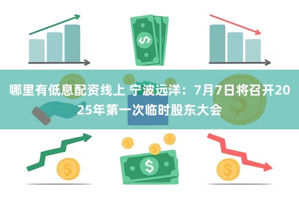 哪里有低息配资线上 宁波远洋：7月7日将召开2025年第一次临时股东大会