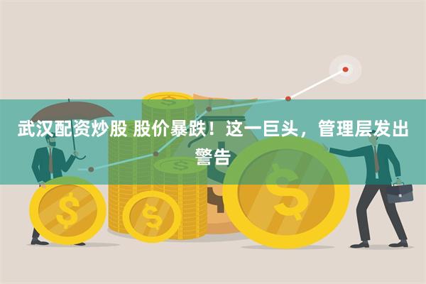 武汉配资炒股 股价暴跌！这一巨头，管理层发出警告