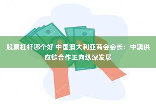 股票杠杆哪个好 中国澳大利亚商会会长：中澳供应链合作正向纵深发展