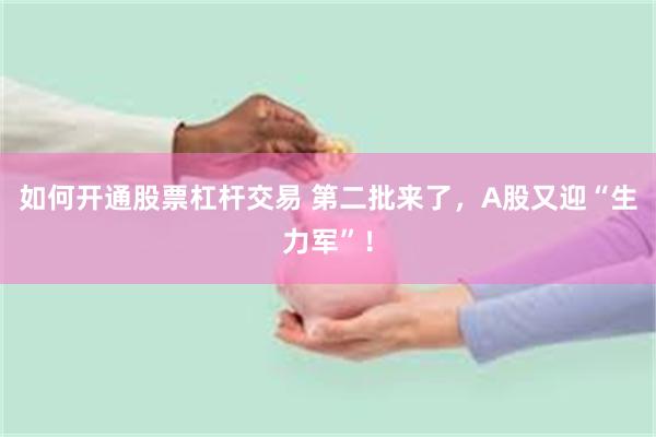 如何开通股票杠杆交易 第二批来了，A股又迎“生力军”！