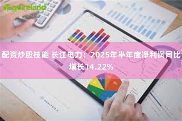 配资炒股技能 长江电力：2025年半年度净利润同比增长14.22%