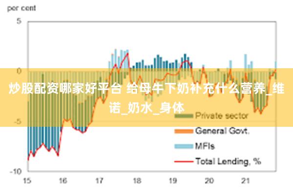 炒股配资哪家好平台 给母牛下奶补充什么营养_维诺_奶水_身体