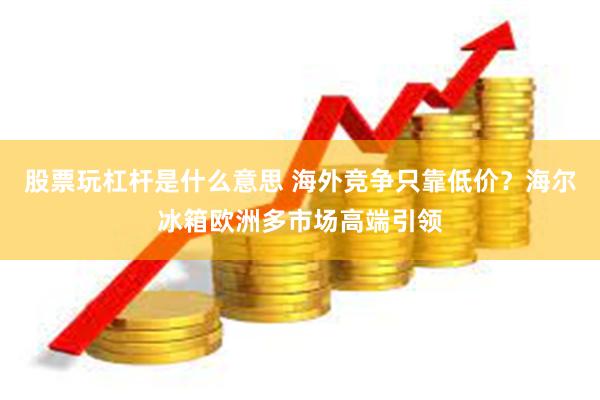 股票玩杠杆是什么意思 海外竞争只靠低价？海尔冰箱欧洲多市场高端引领