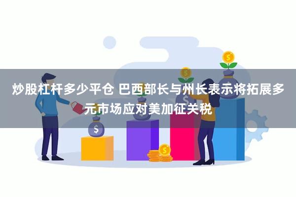 炒股杠杆多少平仓 巴西部长与州长表示将拓展多元市场应对美加征关税