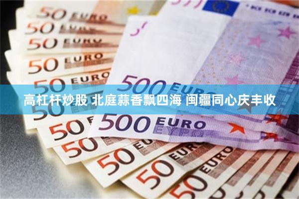 高杠杆炒股 北庭蒜香飘四海 闽疆同心庆丰收