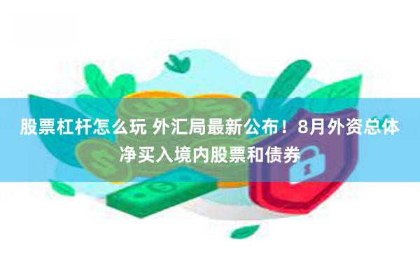股票杠杆怎么玩 外汇局最新公布!8月外资总体净买入境内股票和债券